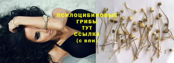 спиды Горно-Алтайск