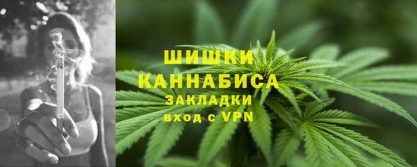 Альфа ПВП Горняк