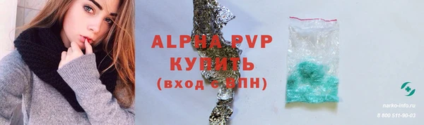 спиды Горно-Алтайск