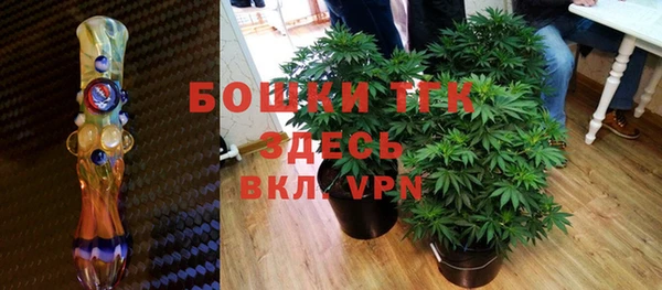 стаф Горнозаводск