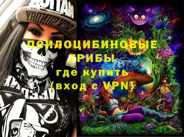 Альфа ПВП Горняк