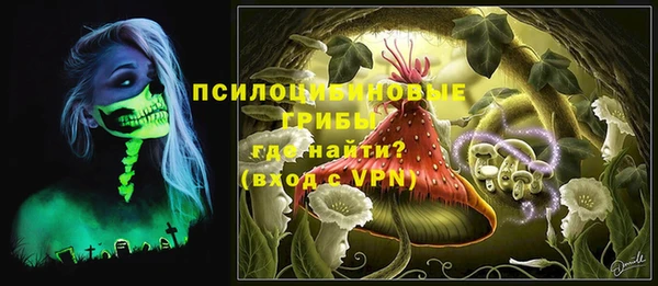 Альфа ПВП Горняк