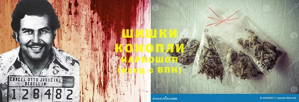 Альфа ПВП Горняк