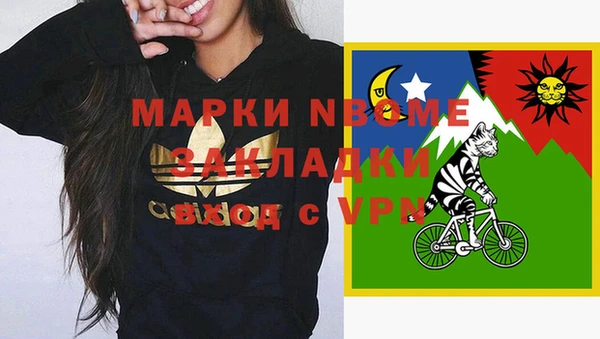 Альфа ПВП Горняк